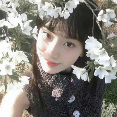 美声歌鸡