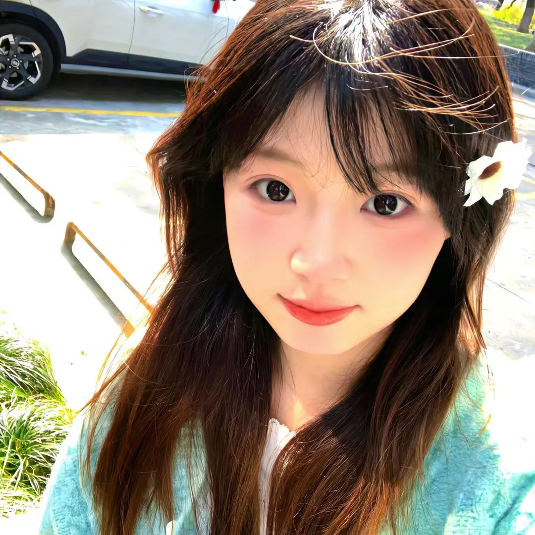 金毛喜迎冬